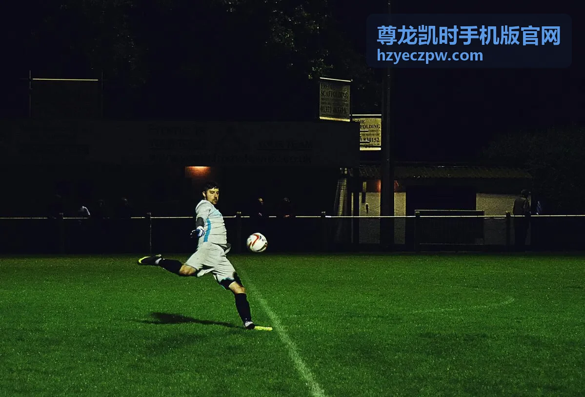 尊龙凯时手机版官网首页入口界面演示
